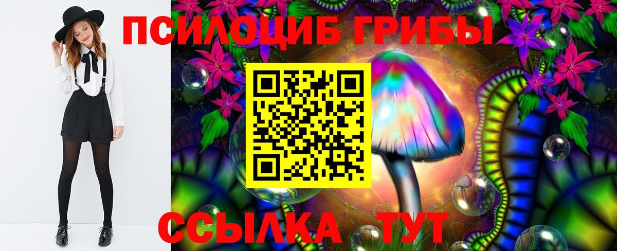Галлюциногенные грибы Psilocybine cubensis Приморско-Ахтарск