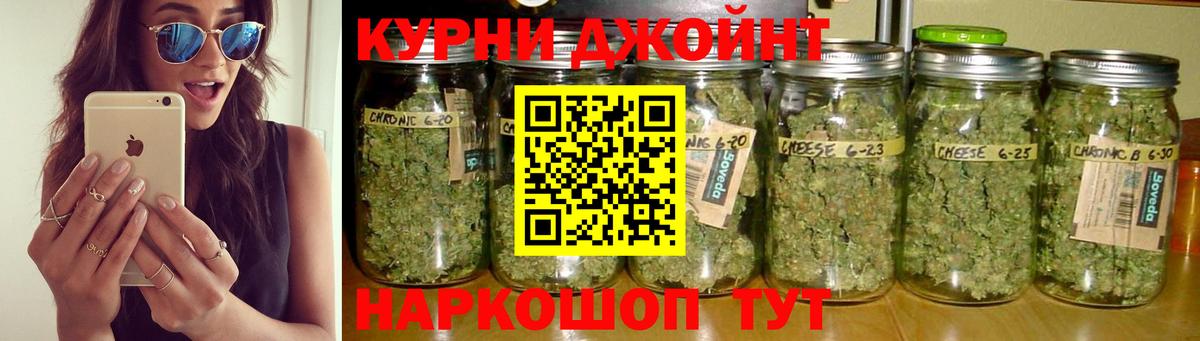 Каннабис VHQ  МАРИХУАНА VHQ  Приморско-Ахтарск  Вход с VPN  Бошки марихуана гибрид 